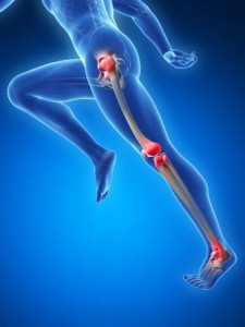 0783648e8d2dcf1056408a33754094dd