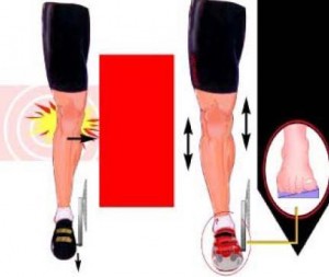 186c692f74e5ae04e8af6e46b4e8041a