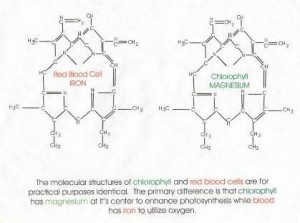 570a189db6b8039a9e921ce5513d9584