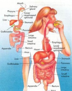 57e93b7560ab6858637b11dda7ec3e43