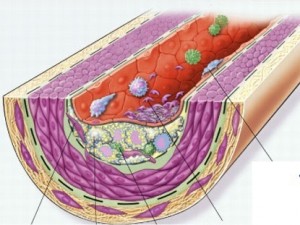 5ebf612ea8e8ff947aa8d1a037b668ce