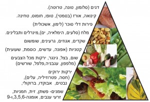 c9197b47ff9ccb81896133d564d8b9f5